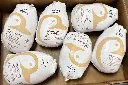 Whole Young Duck (Frozen)_Box.webp