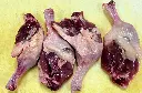 IMG_1374-EDIT.webp