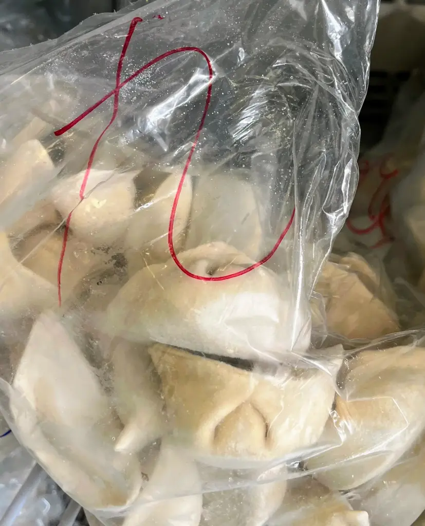 Chive and Pork Dumpling
