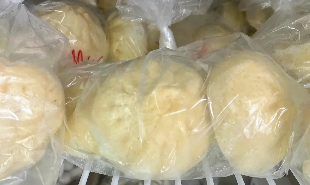 Vegetarian bun