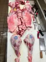 Ontario Lamb Whole (Fresh Halal) (LB)