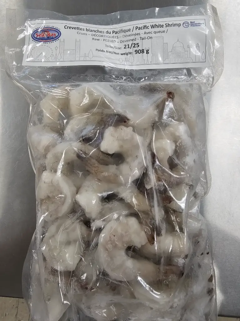 Pacific White Shrimp