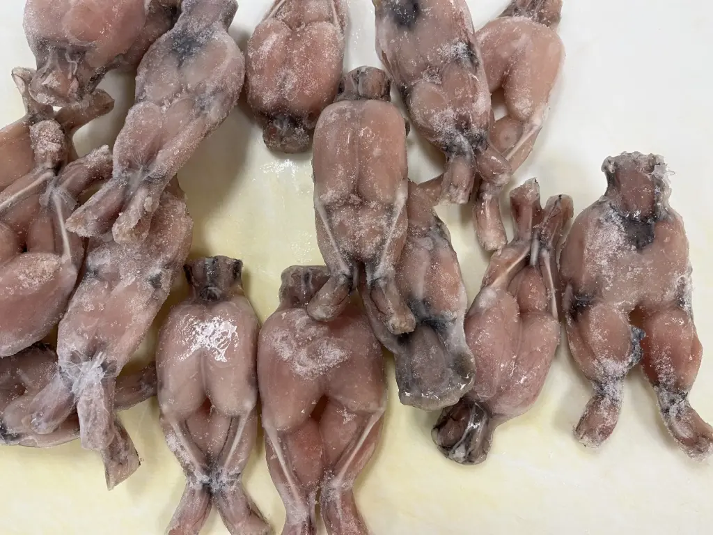 FROG LEGS  6~8 PCS/LB