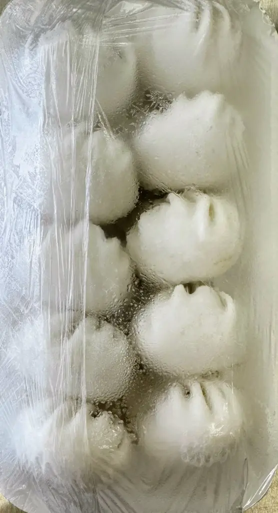 Shrimp Dumpling (10pcs)