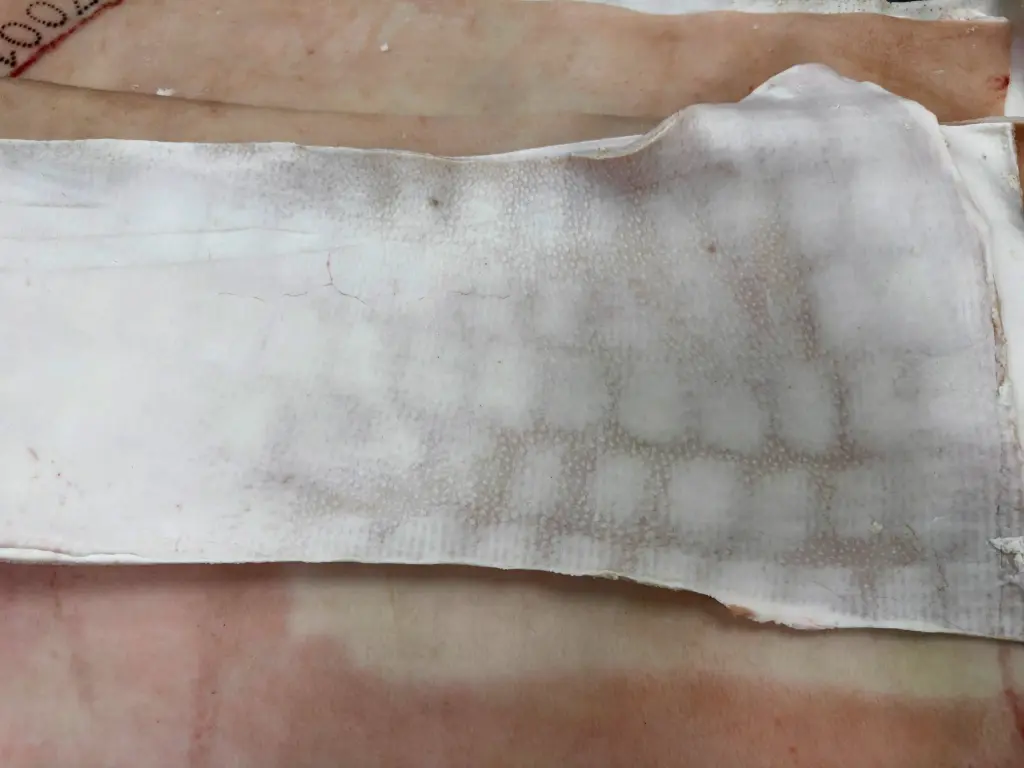 PK BACK SKIN