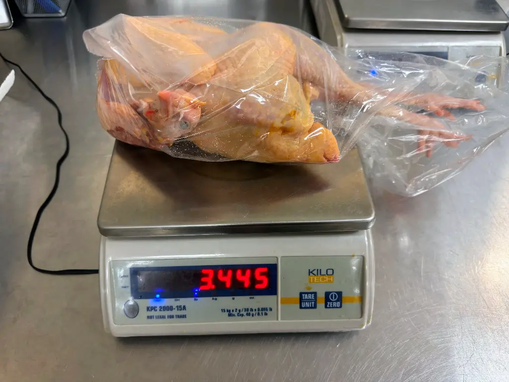 Yellow Free Run Chicken (Size12)