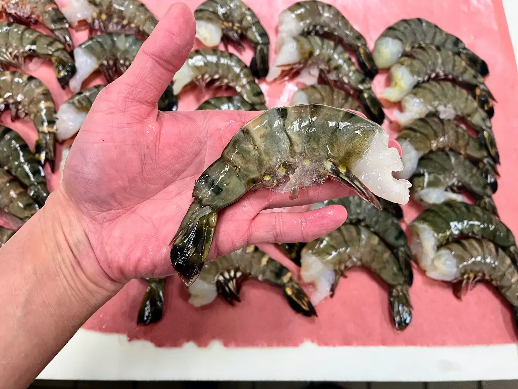 Black Tiger Shrimp (4.0lb)