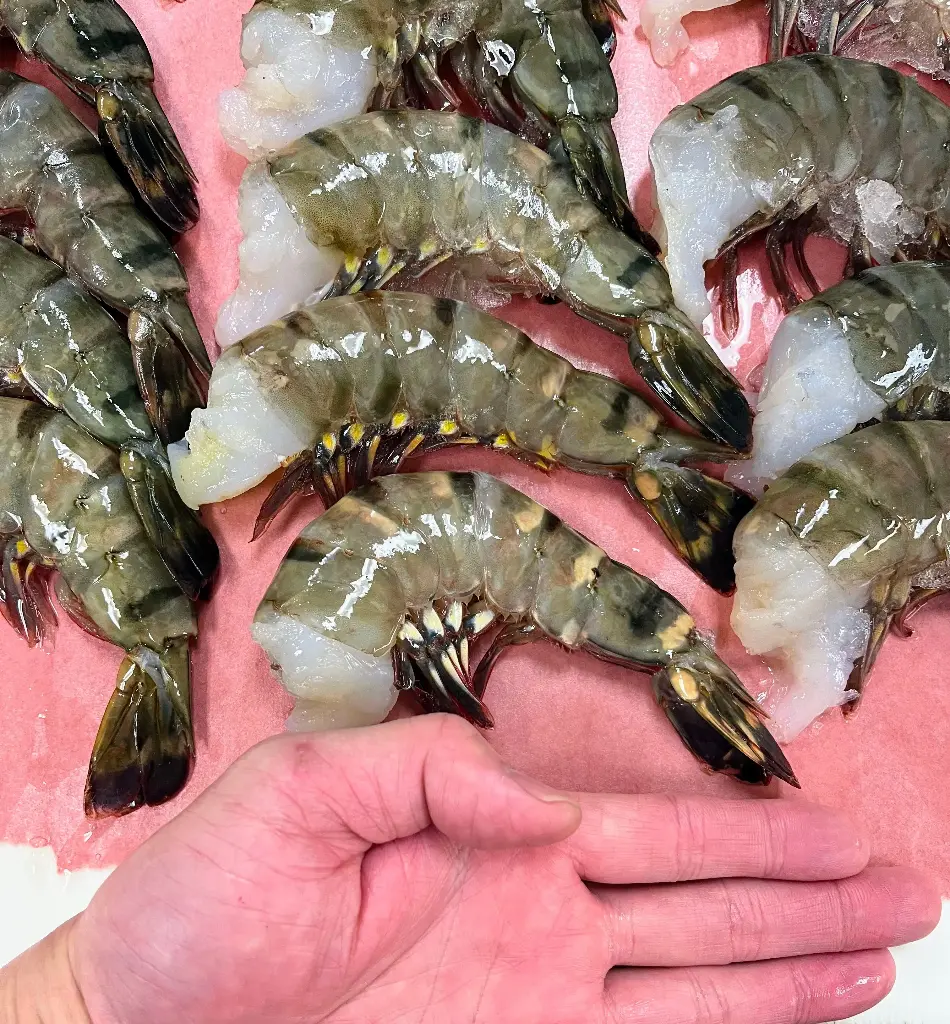 Black Tiger Shrimp(6-8) (1lb)